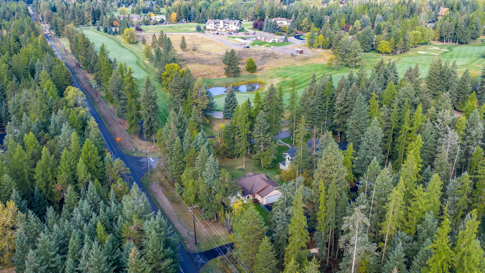 1295 Tamarack Lane