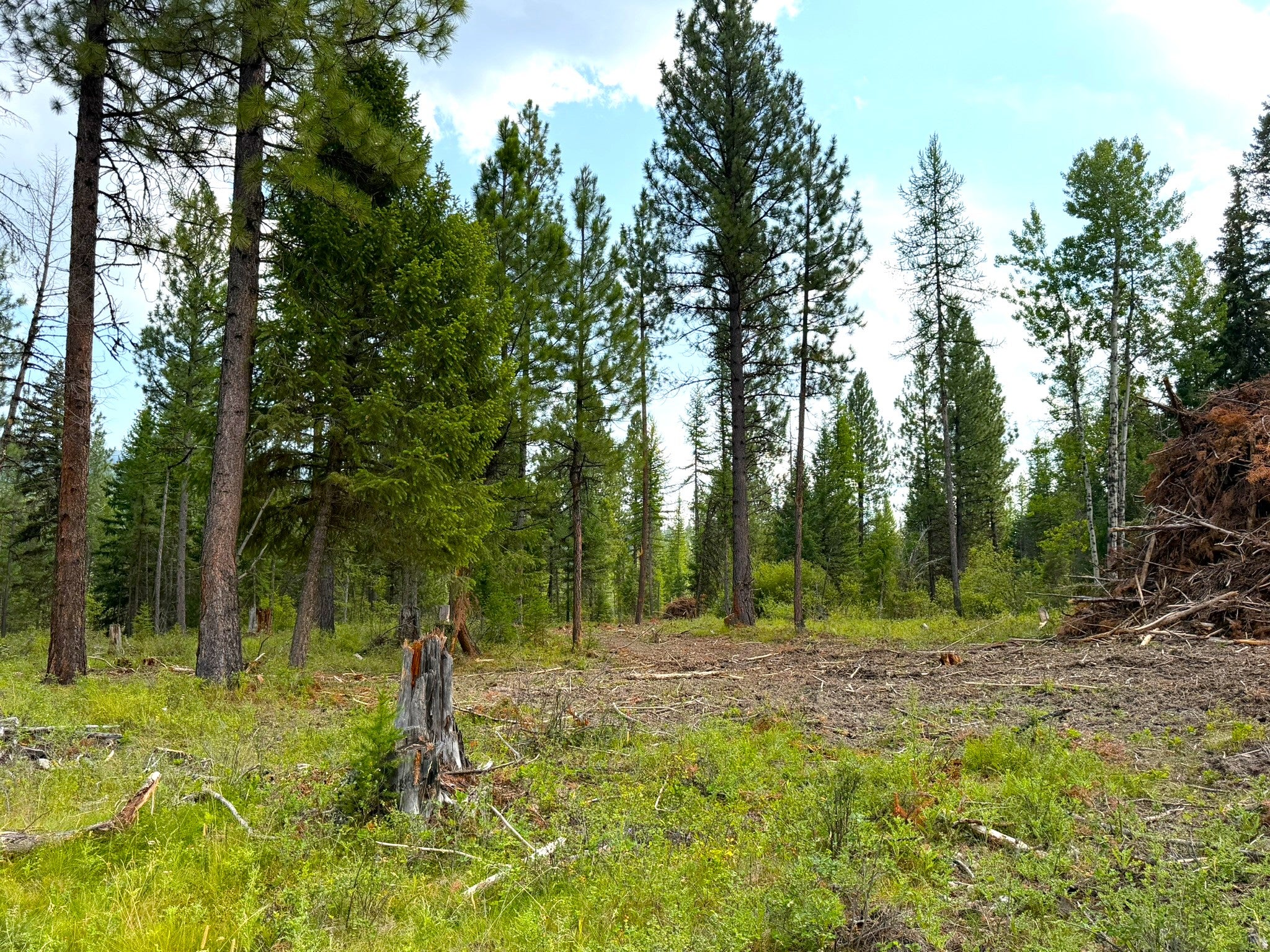 95 Blaney Lane Lot-4
