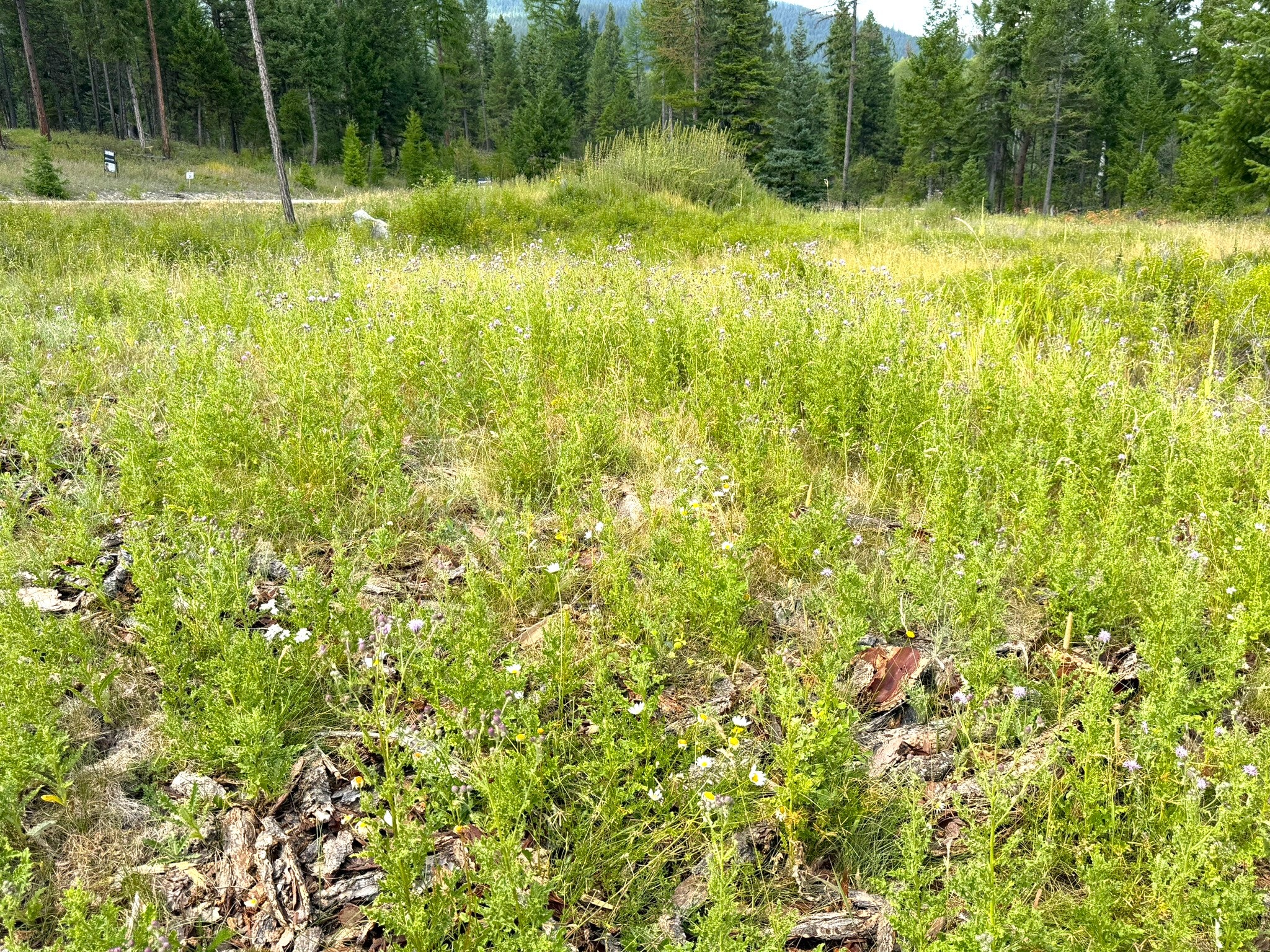 95 Blaney Lane Lot-4
