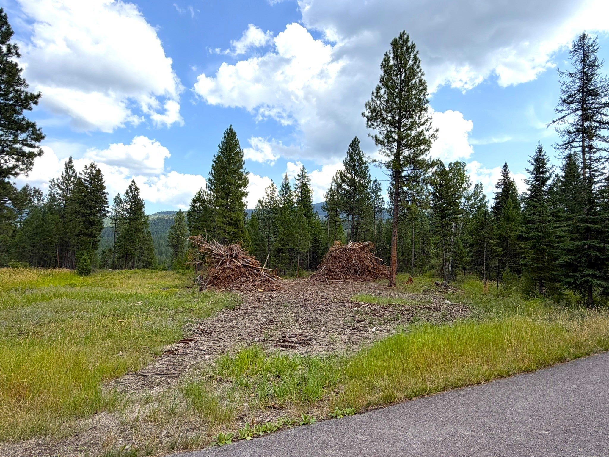 95 Blaney Lane Lot-4