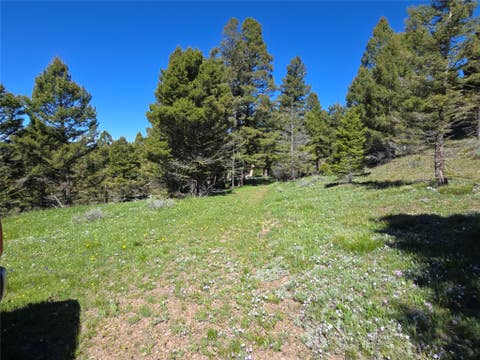 Photo of Lot 26 Westridge Road, Helmville, MT 59843 (MLS # 30072764)