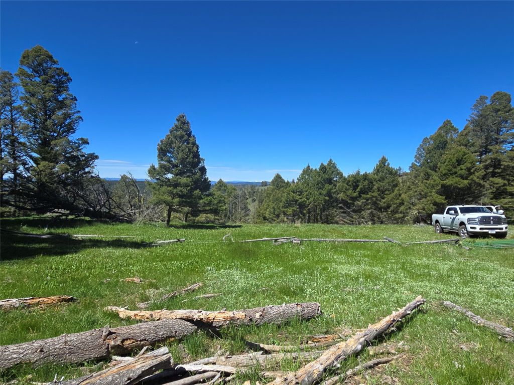 Photo of Lot 26 Westridge Road, Helmville, MT 59843 (MLS # 30072764)