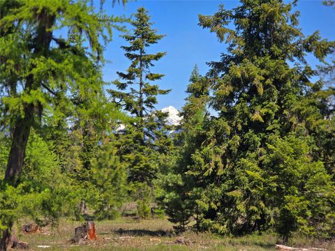 Tiny photo for 440 Trout Creek Road, Trout Creek, MT 59874 (MLS # 30070881)