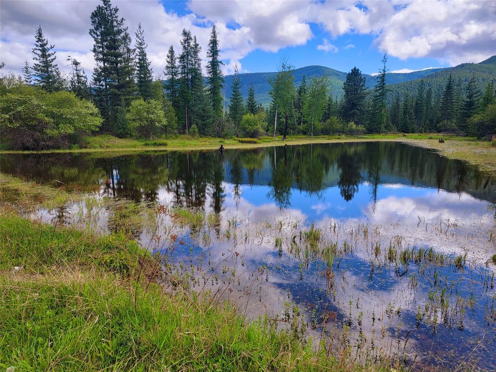 Photo of 440 Trout Creek Road, Trout Creek, MT 59874 (MLS # 30070881)
