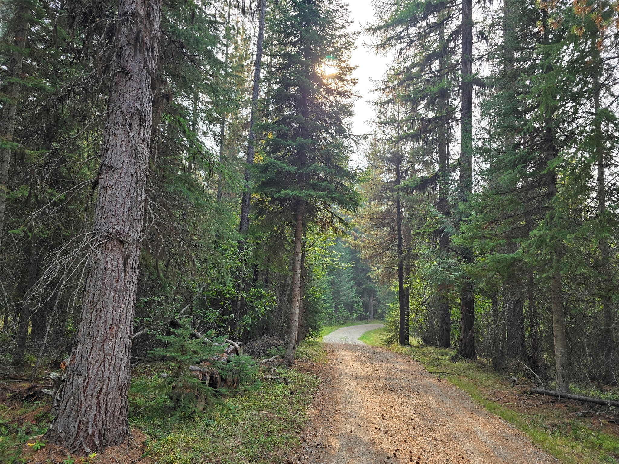 30467 S Fork Yaak Road