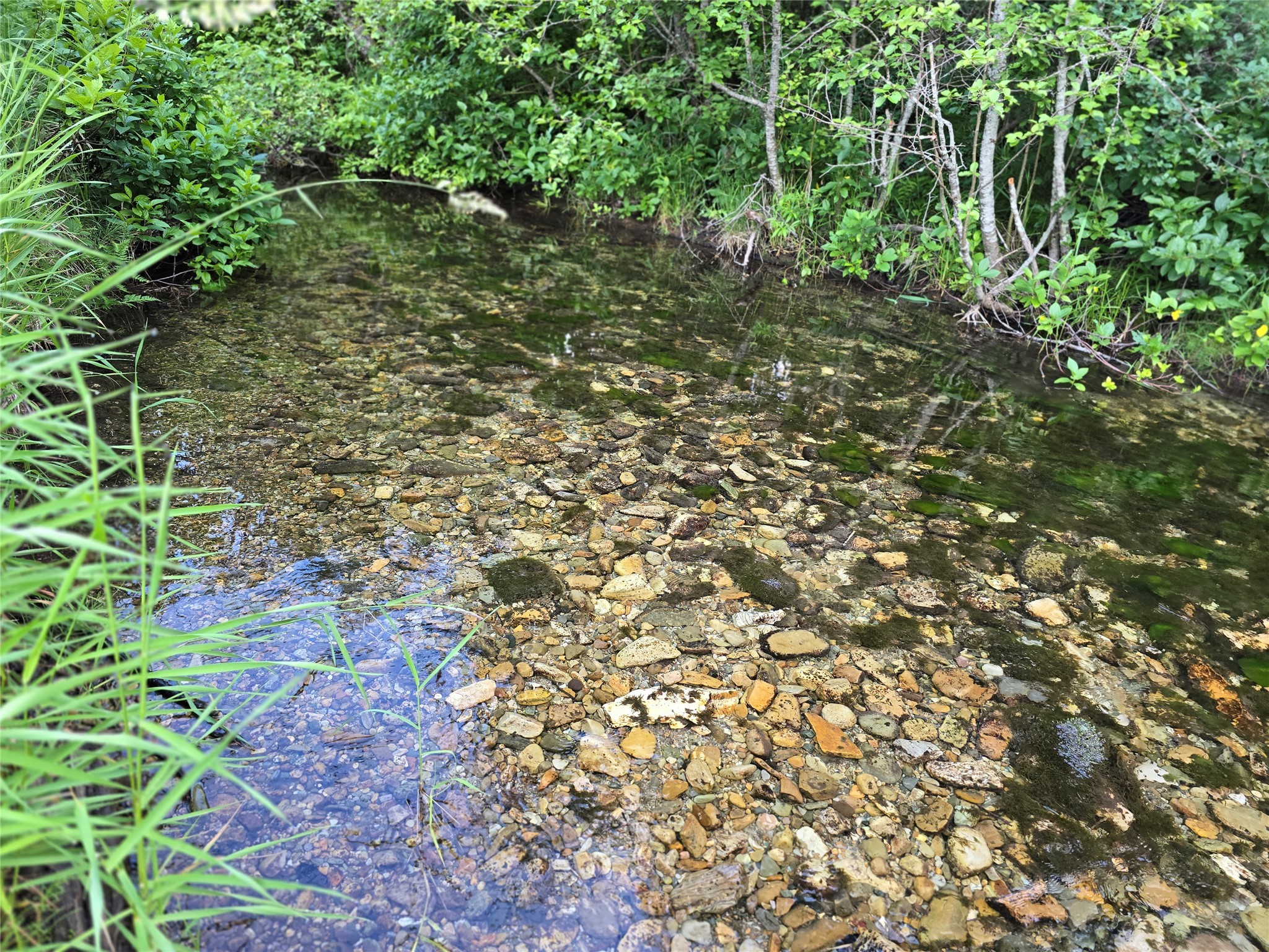 30467 S Fork Yaak Road