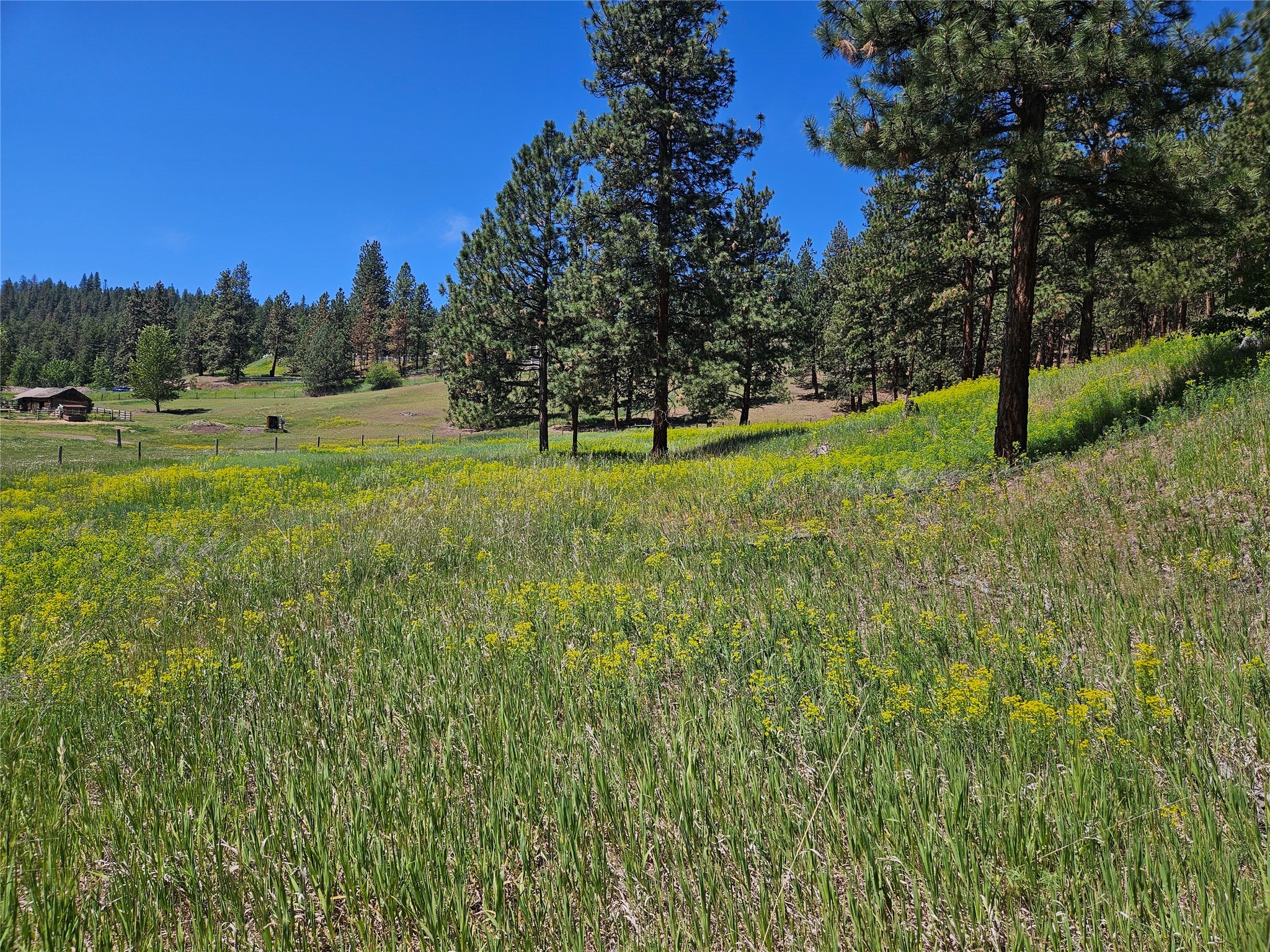 Missoula, Montana 59804, United States, ,Land,Active,55600