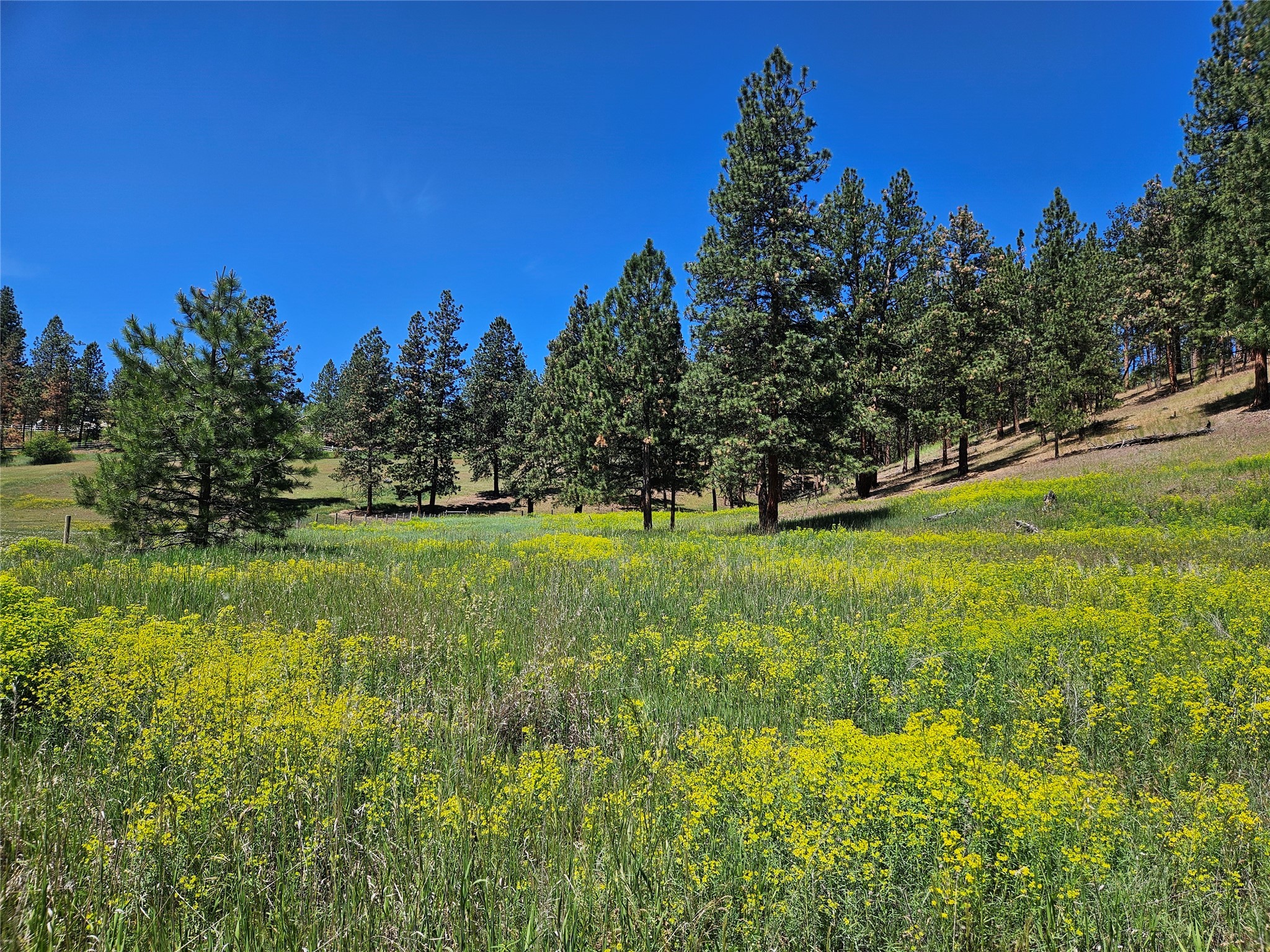 Missoula, Montana 59804, United States, ,Land,Active,55600