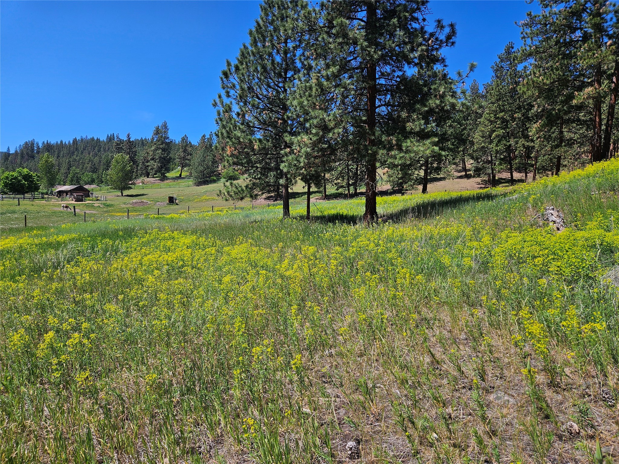 Missoula, Montana 59804, United States, ,Land,Active,55600