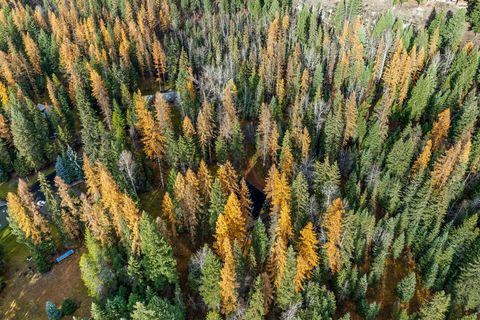 Tiny photo for 123 Little Mountain Road, Whitefish, MT 59937 (MLS # 30061325)