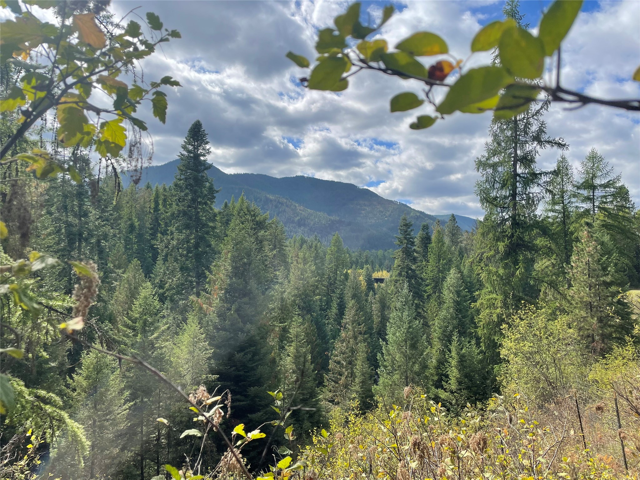 NHN MT Hwy 200
