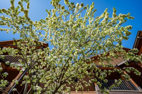 Tiny photo for 4100 Mullan Road #701, Missoula, MT 59808 (MLS # 30069713)