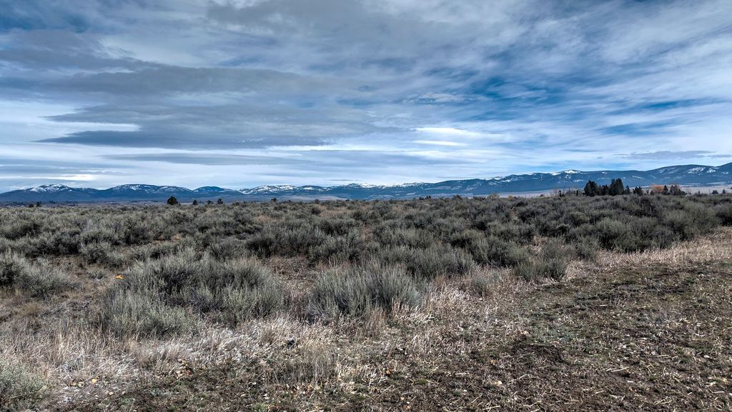 Photo of 982 Foxy Lane, Stevensville, MT 59870 (MLS # 30056186)