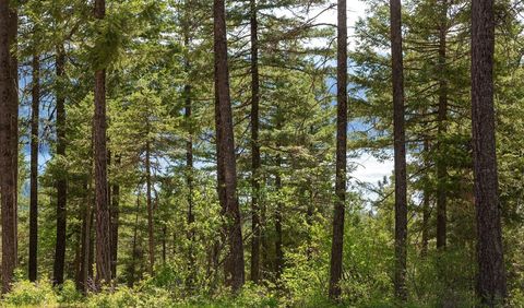 Tiny photo for 168 Whitefish Lookout Road, Whitefish, MT 59937 (MLS # 30051324)