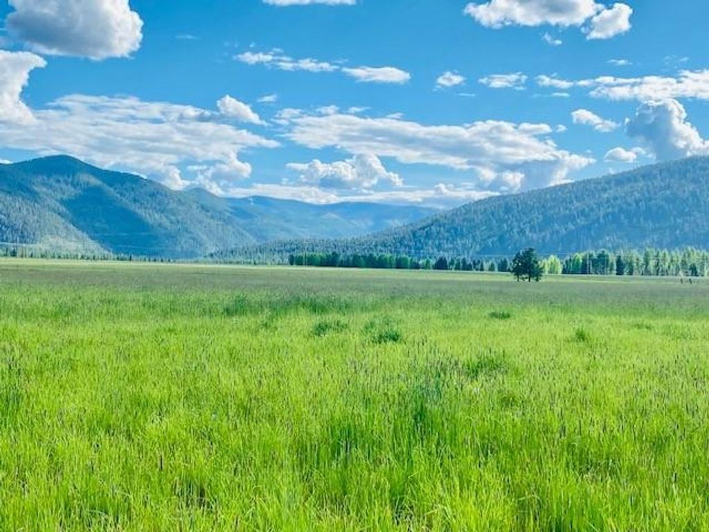 Photo of 21 Cabinet View, Trout Creek, MT 59874 (MLS # 30069043)