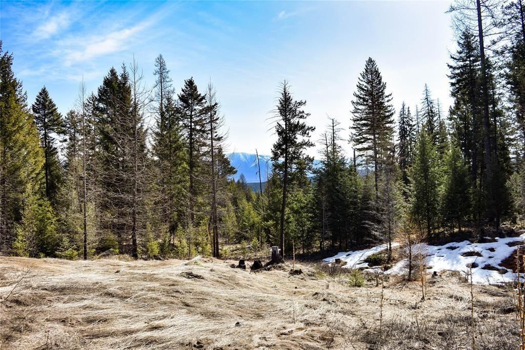 Photo of Lot 2 Meadow Springs, Fortine, MT 59918 (MLS # 30067318)