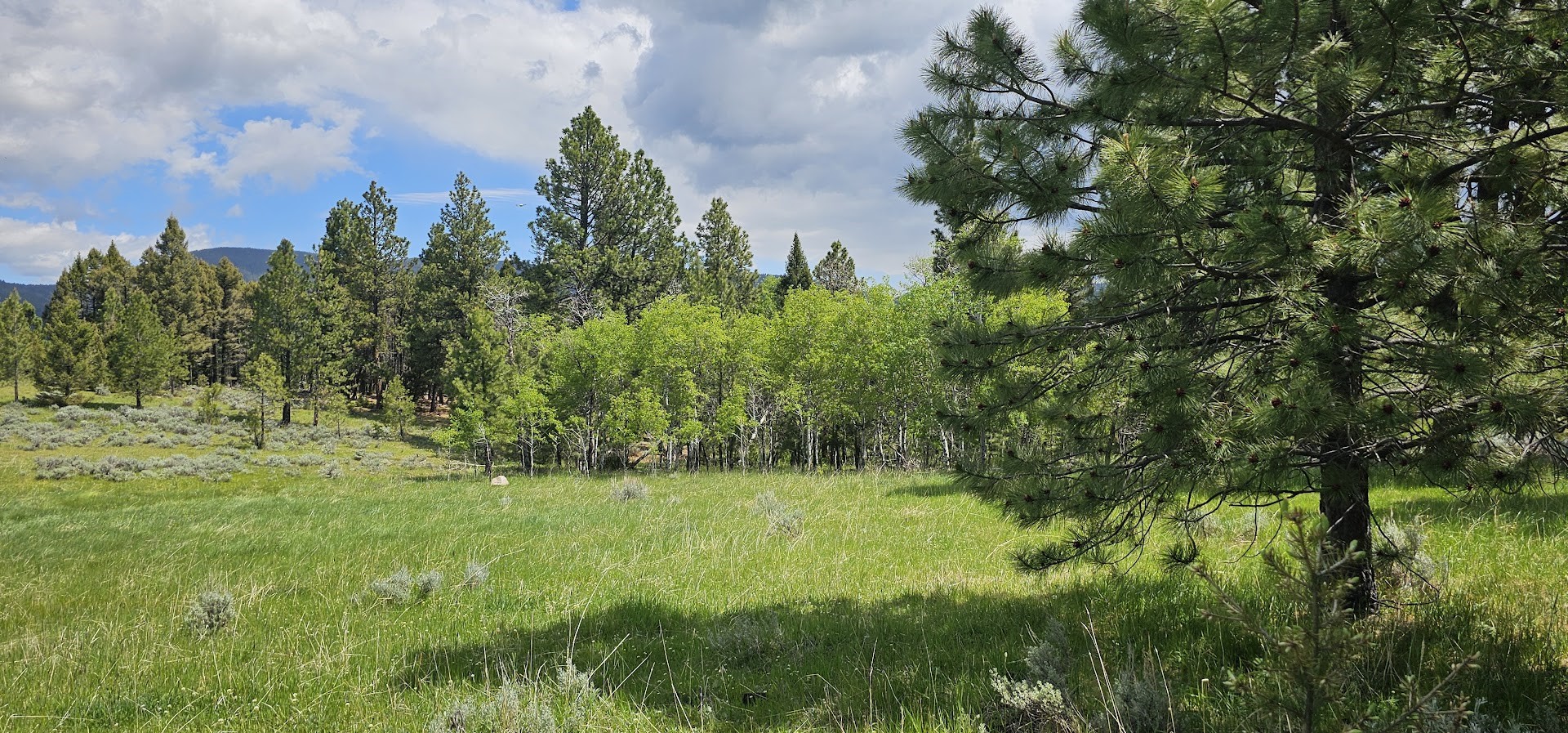 12 Tract, Hall Creek