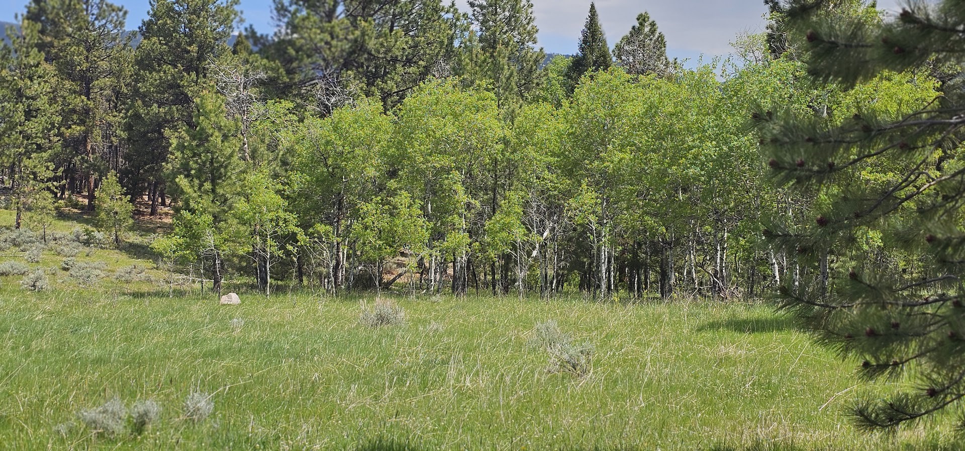 12 Tract, Hall Creek