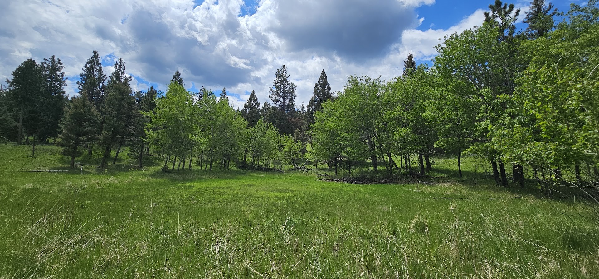 12 Tract, Hall Creek
