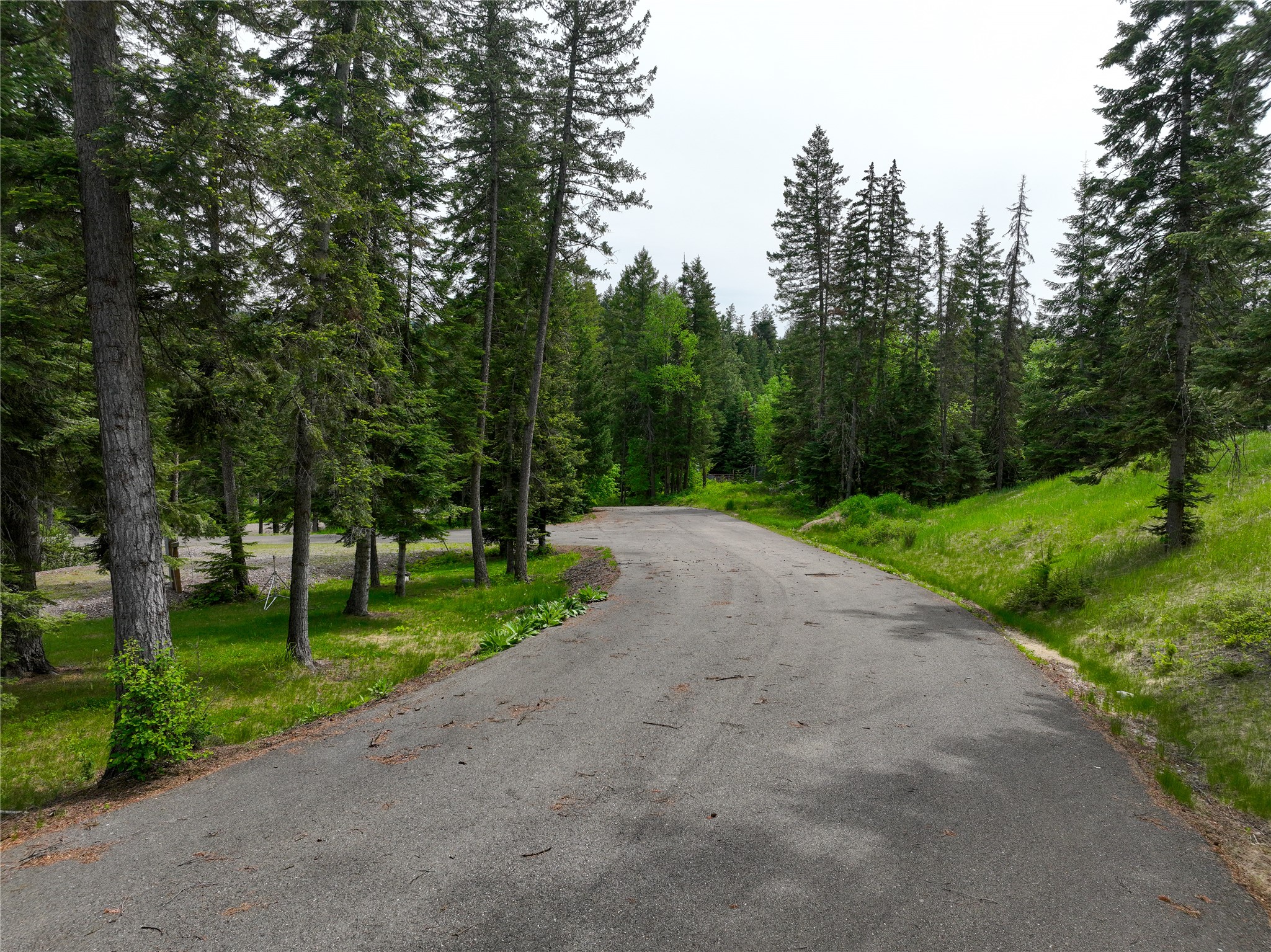 Bigfork, Montana 59911, United States, ,Land,Active,103584