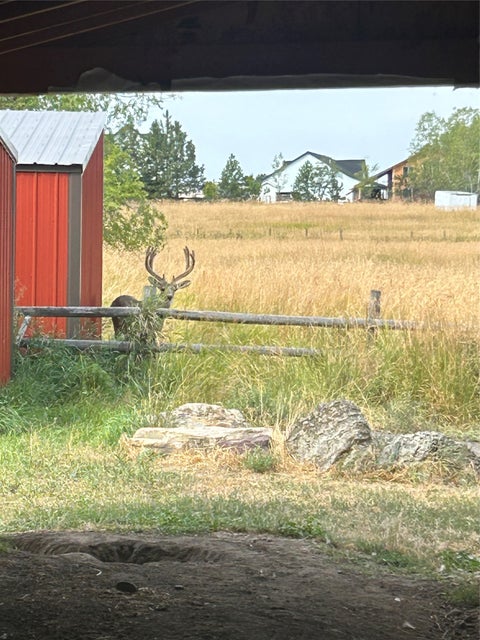 Tiny photo for 36842 Kerr Dam Road, Polson, MT 59860 (MLS # 30076859)