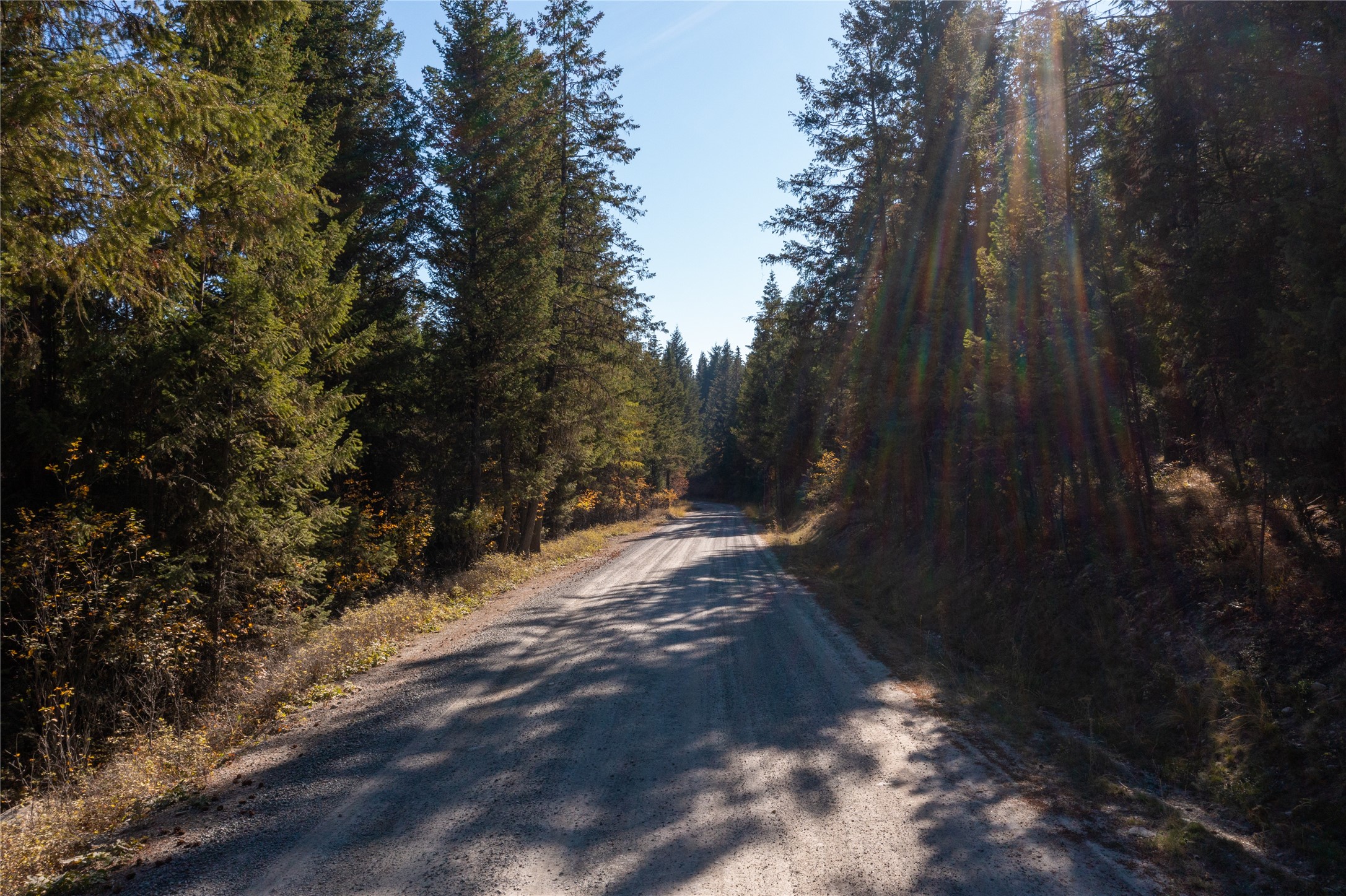 10 Acres Gut Creek Road