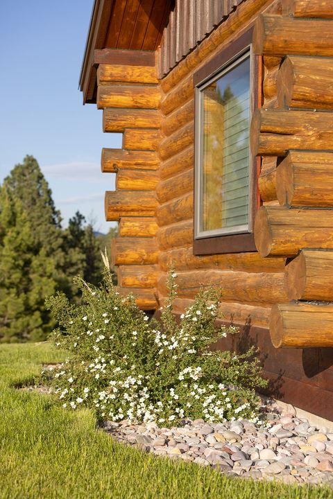 Tiny photo for 587 Cozy Lane, Helmville, MT 59843 (MLS # 30071312)