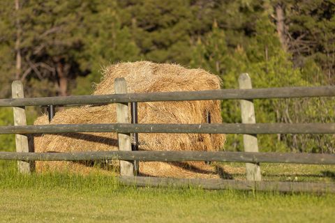 Tiny photo for 587 Cozy Lane, Helmville, MT 59843 (MLS # 30071312)