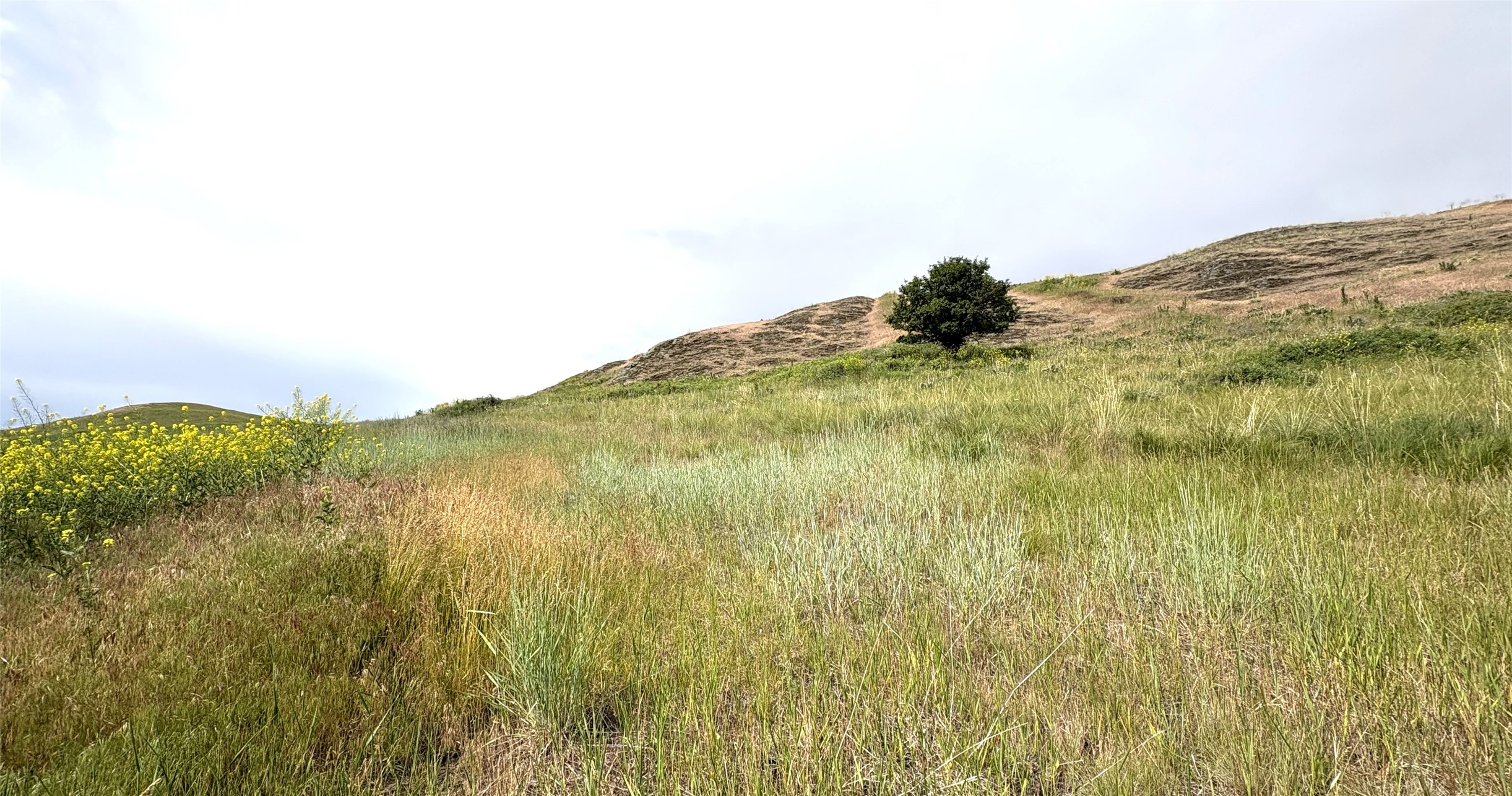 Homesite 25 Stone Horse Drive