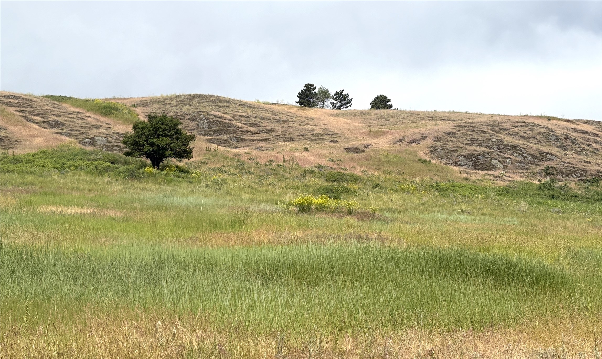 Homesite 25 Stone Horse Drive