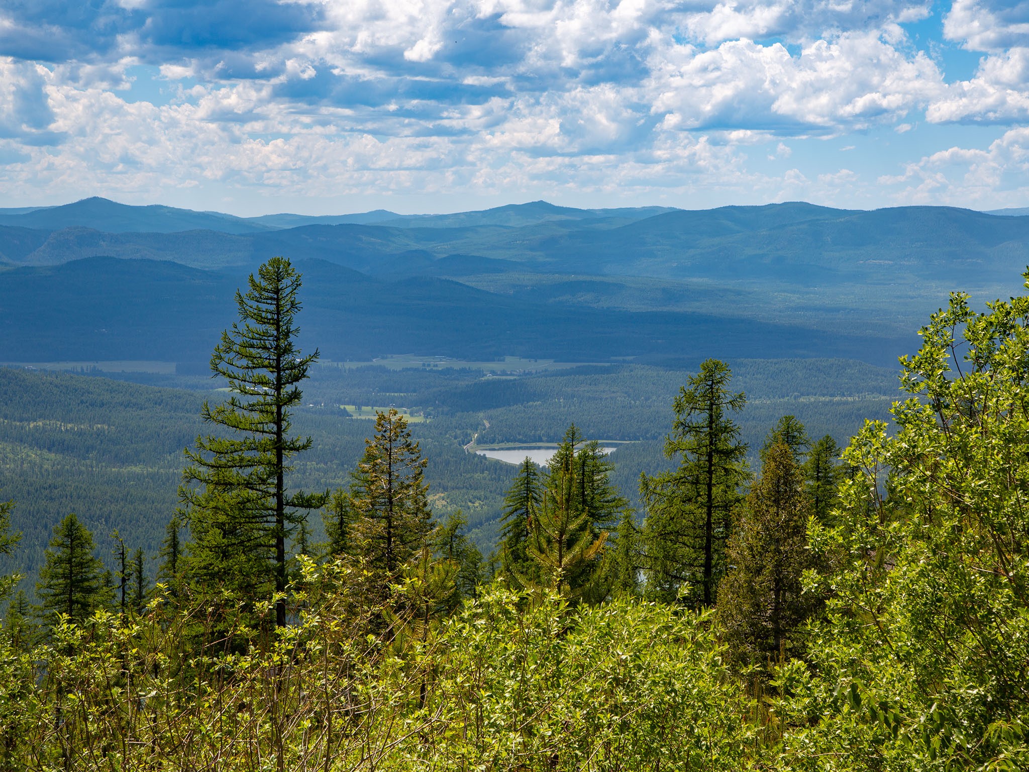 View from 184 Orion Drive