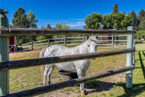 Tiny photo for 2811 Foxtrotter Trail, Victor, MT 59875 (MLS # 30072474)