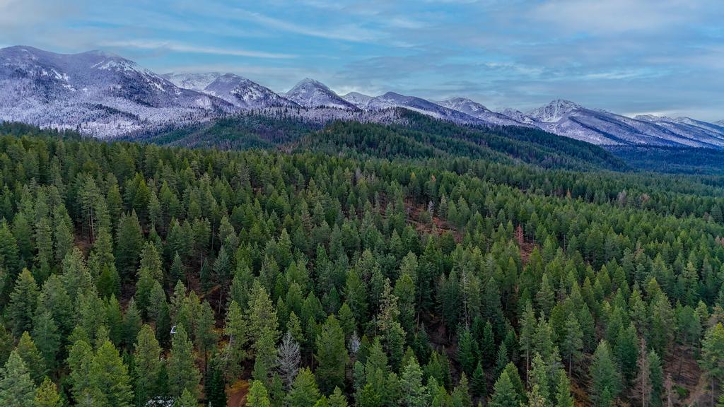 Polson, Montana 59860, United States, 4 Bedrooms Bedrooms, ,3 BathroomsBathrooms,Residential,Active,151962