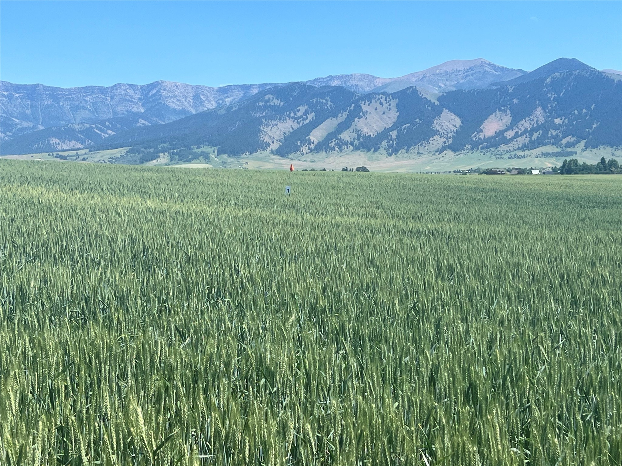 Lot 3 Penwell Bridge Road