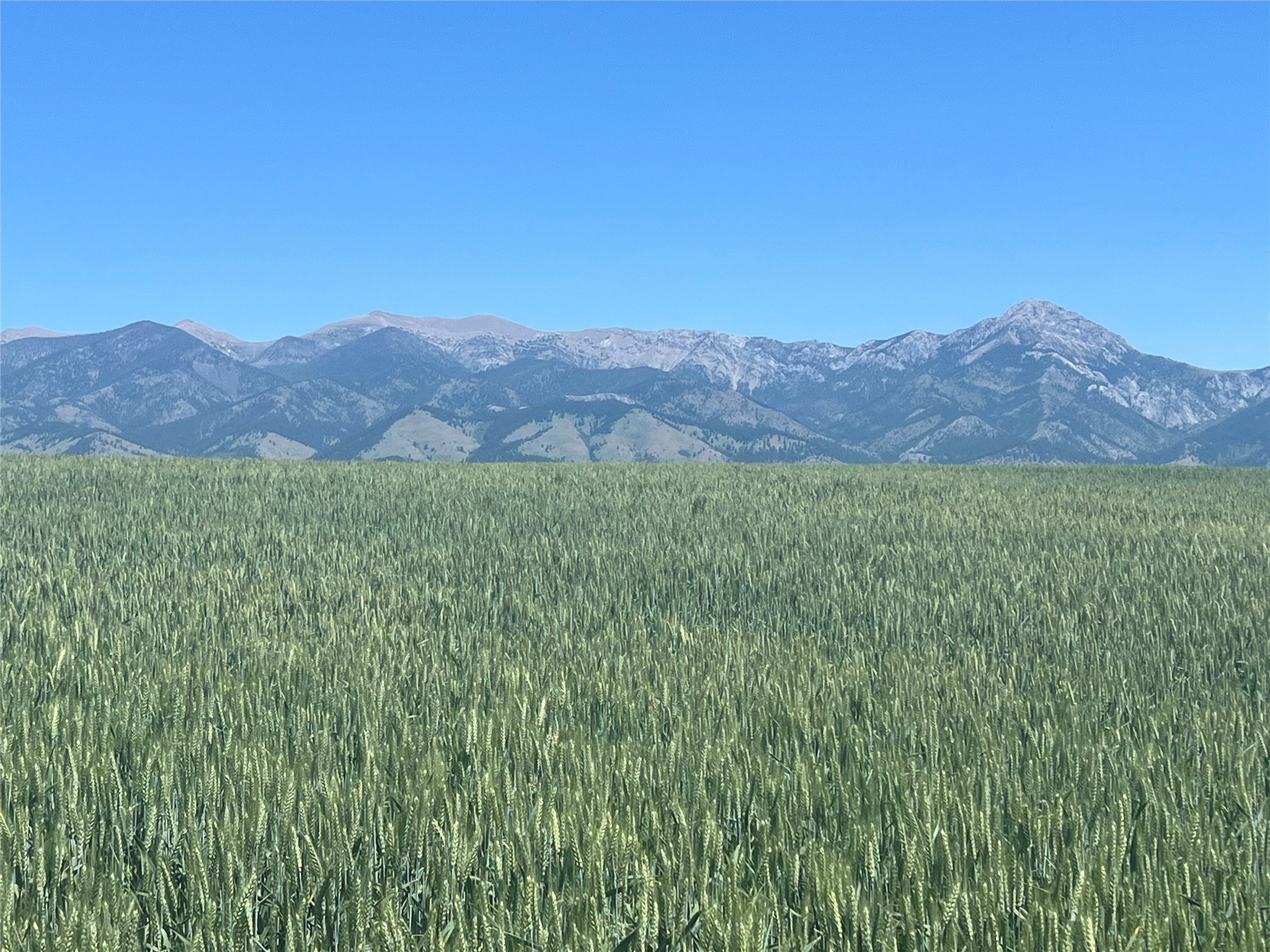 Lot 3 Penwell Bridge Road