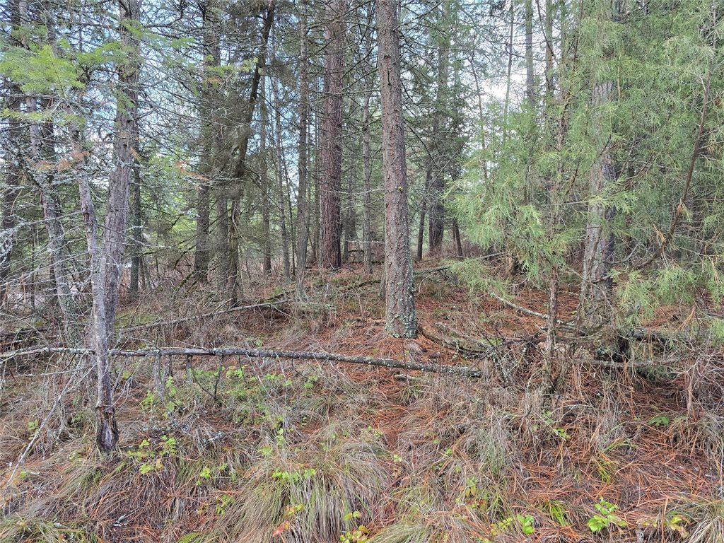 Photo of 746 Tami Drive E, Superior, MT 59872 (MLS # 30062044)