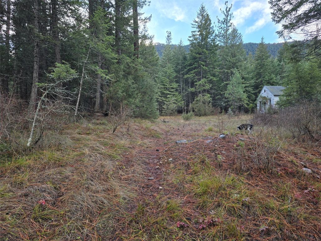 Photo of 746 Tami Drive E, Superior, MT 59872 (MLS # 30062044)