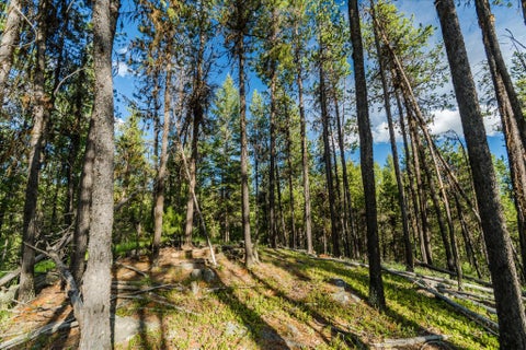 Tiny photo for 9343 US Hwy 2 W, Marion, MT 59925 (MLS # 30073219)