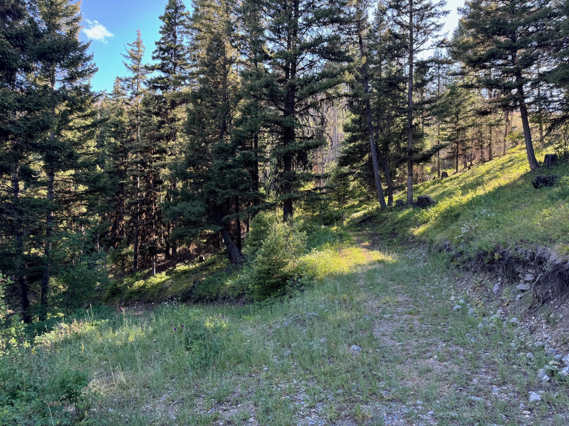 18 Goodnow Mine Lane