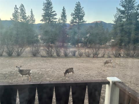 Tiny photo for 2600 Shaman Drive, Helena, MT 59601 (MLS # 30076237)