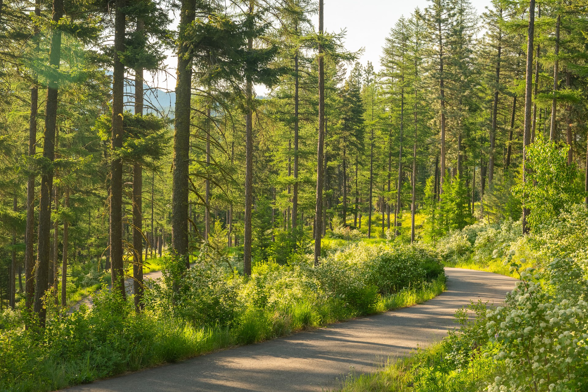 6601 Russian Joe Road