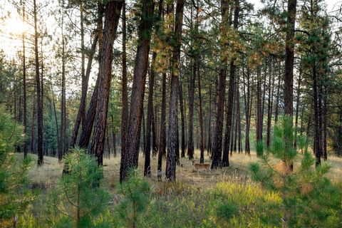 Tiny photo for 34 Crooked Stick Way, Eureka, MT 59917 (MLS # 30043458)