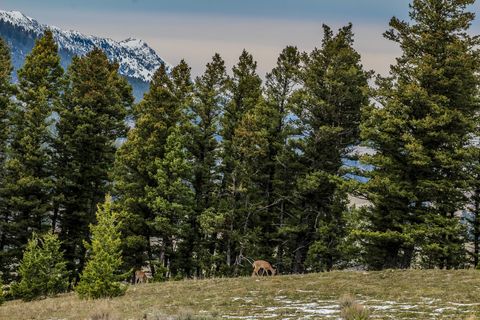 Tiny photo for TBD Woodchuck Road, Bozeman, MT 59715 (MLS # 30068420)