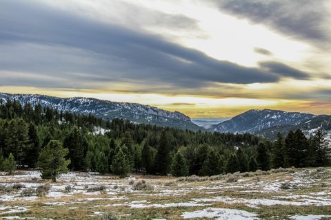 Tiny photo for TBD Woodchuck Road, Bozeman, MT 59715 (MLS # 30068420)
