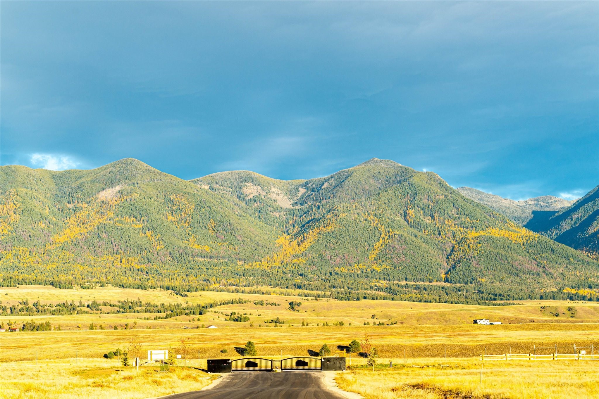 542 Paradise Loop