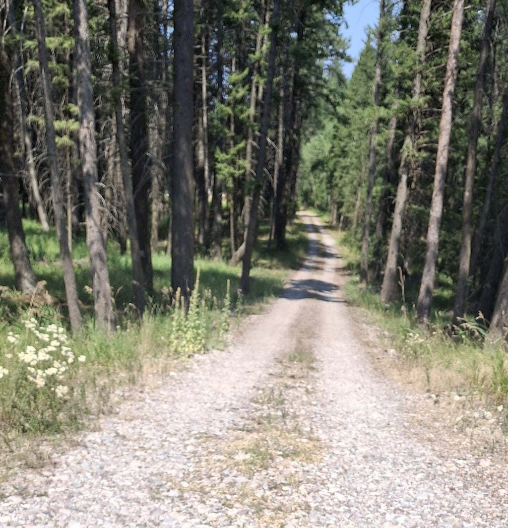 Photo of 191 Elk Park Road, Columbia Falls, MT 59912 (MLS # 30076290)