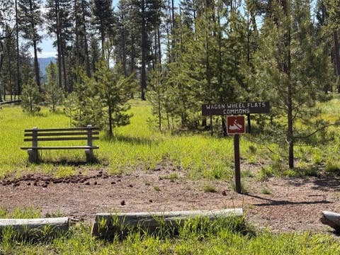 Tiny photo for 230 W Wagon Wheel Court, Seeley Lake, MT 59868 (MLS # 30067176)