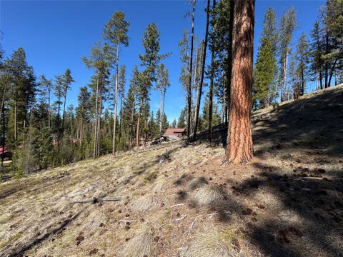 Tiny photo for 230 W Wagon Wheel Court, Seeley Lake, MT 59868 (MLS # 30067176)