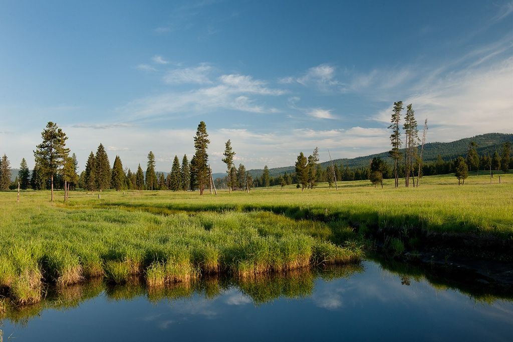 Photo of 9701 Provence Lane, Marion, MT 59925 (MLS # 30065280)