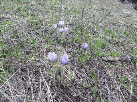 Tiny photo for 87 Hideaway Lane, Cascade, MT 59421 (MLS # 30069077)